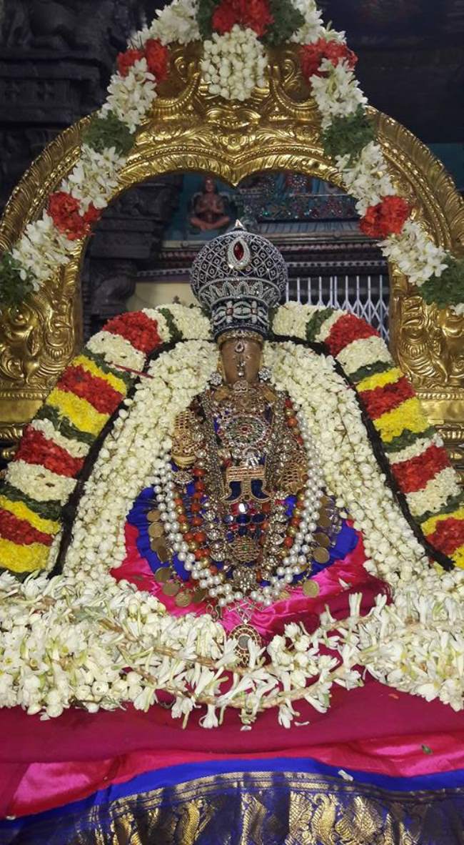 thiruvellur-navarathri-utsavam-day-4-2016004