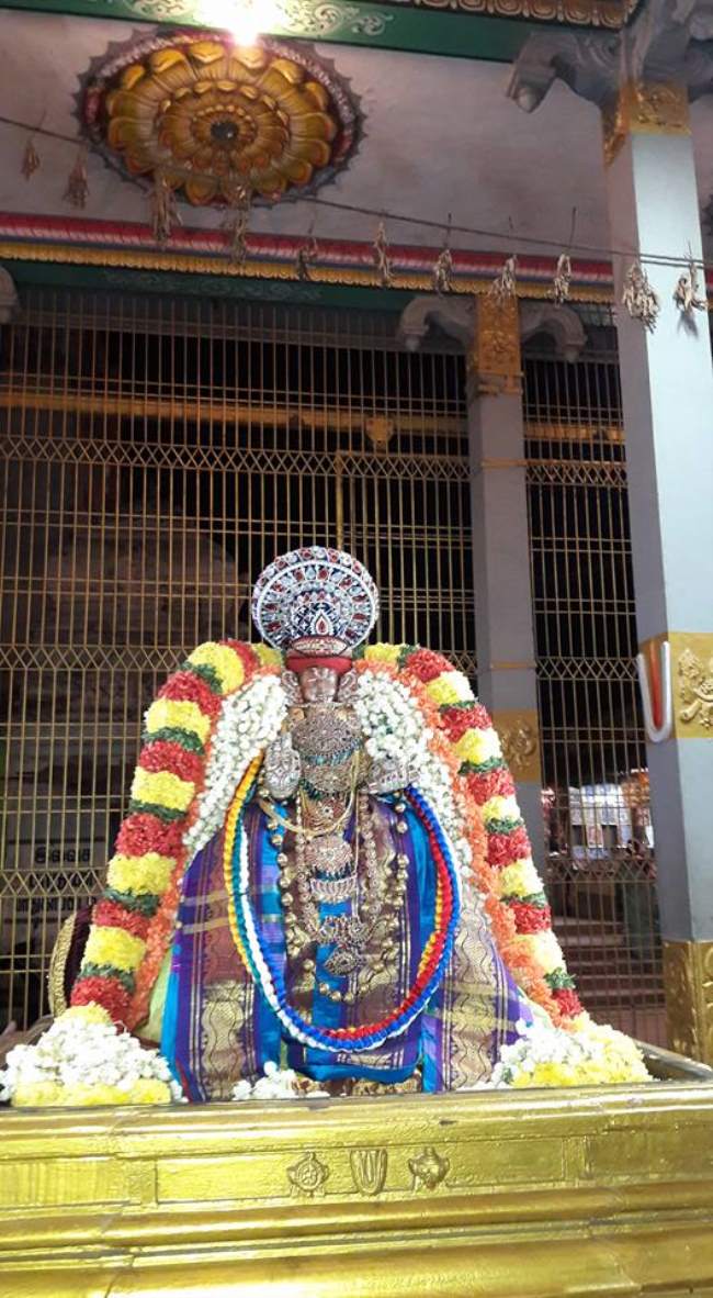 thiruvellur-navarathri-utsavam-day-4-2016007