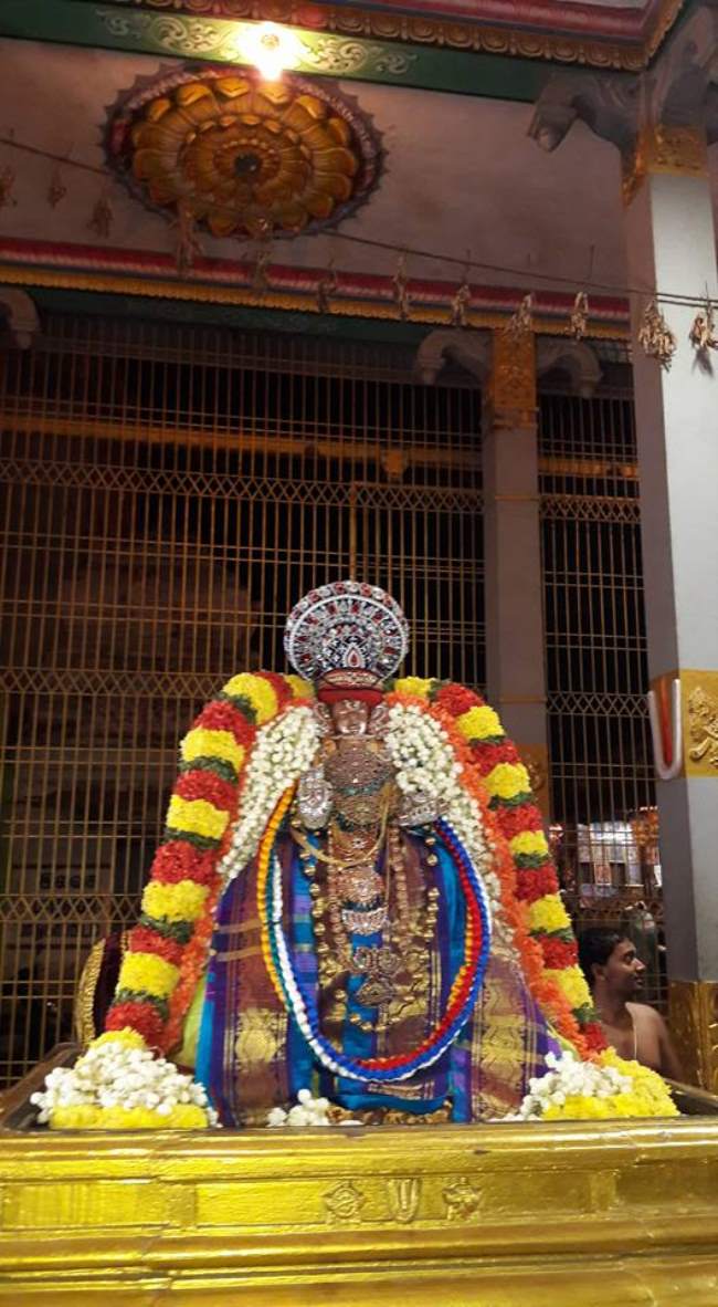 thiruvellur-navarathri-utsavam-day-4-2016010