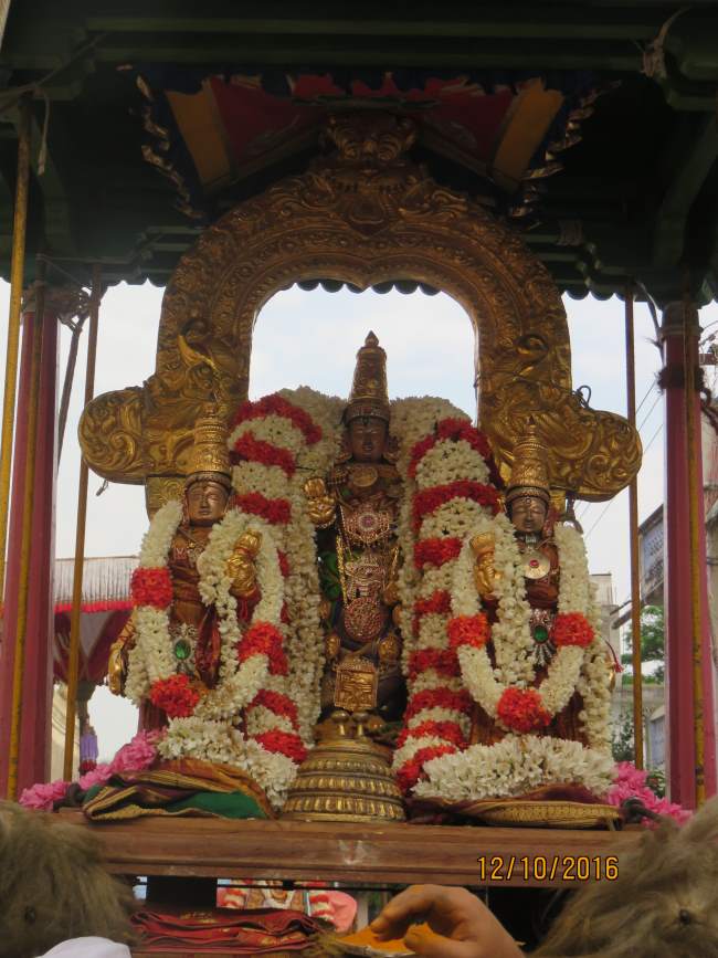thoopul-swami-desikan-thirunakshatra-utsavam-ganthapodi-utsavam-2016023