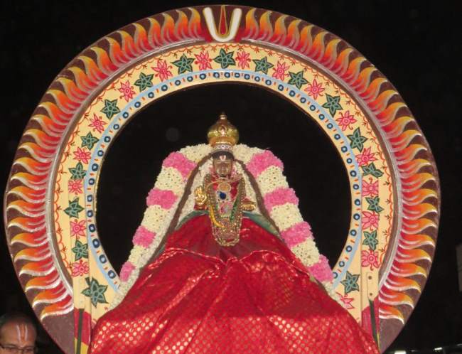 thoopul-swami-desikan-thirunakshatra-uttsavam-day-2-evening-2016004