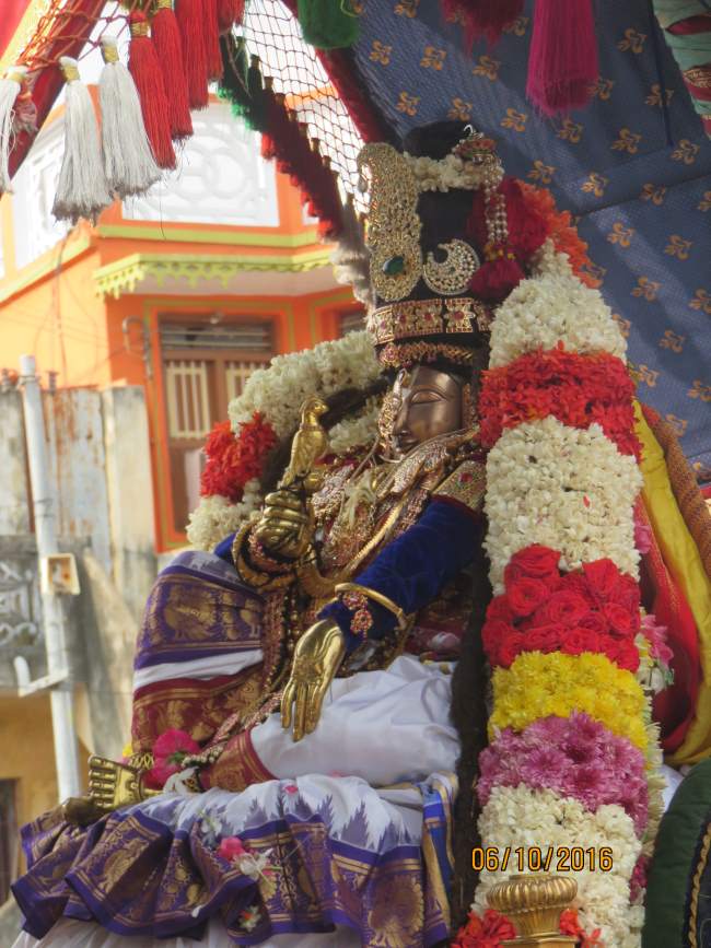 thoopul-swami-desikan-thirunakshatra-utsavam-nachiyar-thirukolam-2016019