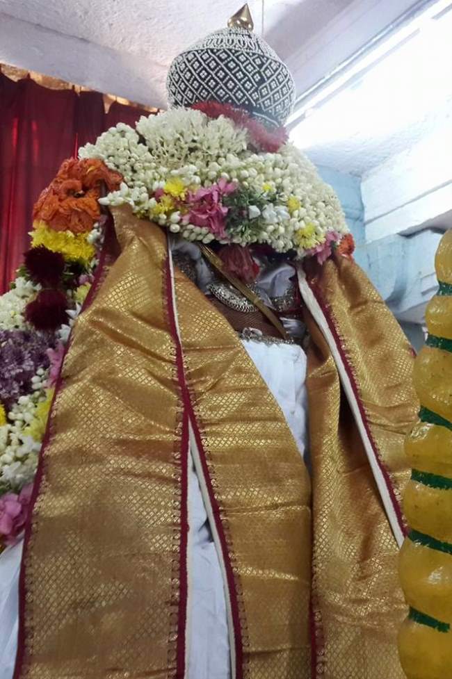 thoopul-swami-desikan-thirunakshatra-utsavam-day-4-2016004