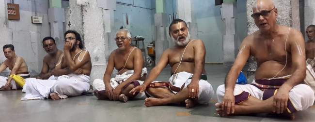 thoopul-swami-desikan-thirunakshatra-utsavam-day-4-2016007