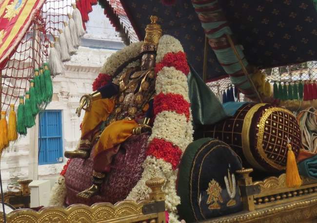 thoopul-swami-desikan-thirunakshatra-utsavam-day-4-morning-2016025