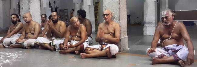 thoopul-swami-desikan-thirunakshatra-utsavam-day-5-evening-2016002
