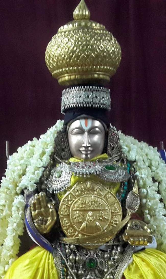 thoopul-swami-desikan-thirunakshatra-utsavam-day-5-evening-2016010