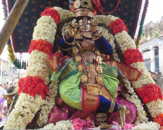 thoopul-swami-desikan-thirunakshatra-utsavam-day-6-2016018