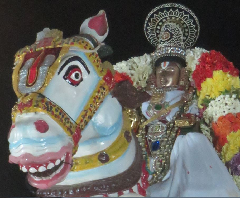 thoopul-swami-desikan-thirunakshatra-utsavam-day-8-evening-2016