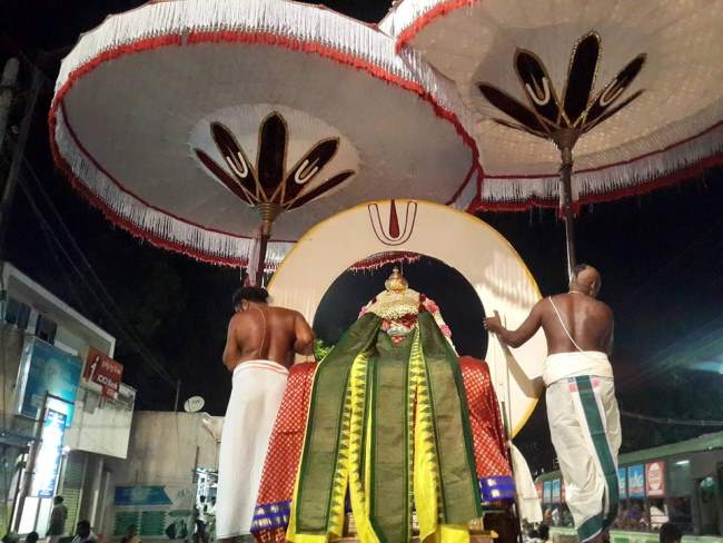 thoopul-swami-desikan-day-3-evening-purappadu-2016001
