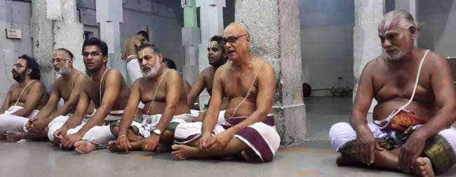 thoopul-swami-desikan-day-3-evening-purappadu-2016008