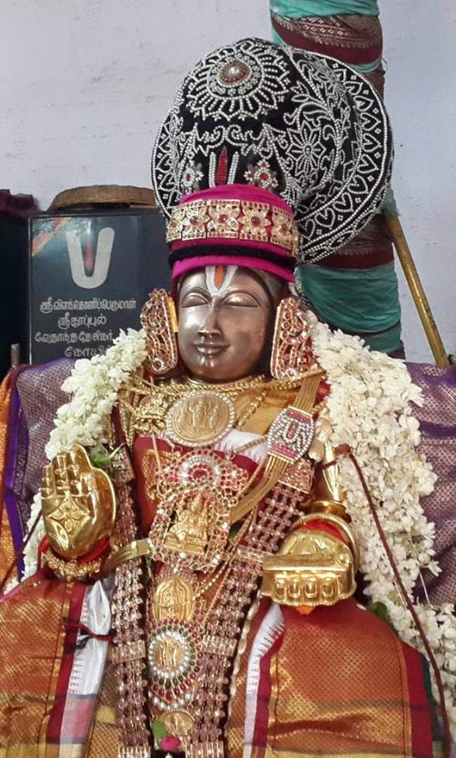 thoopul-swami-desikan-thirunakshatra-utsavam-day-1-2016003
