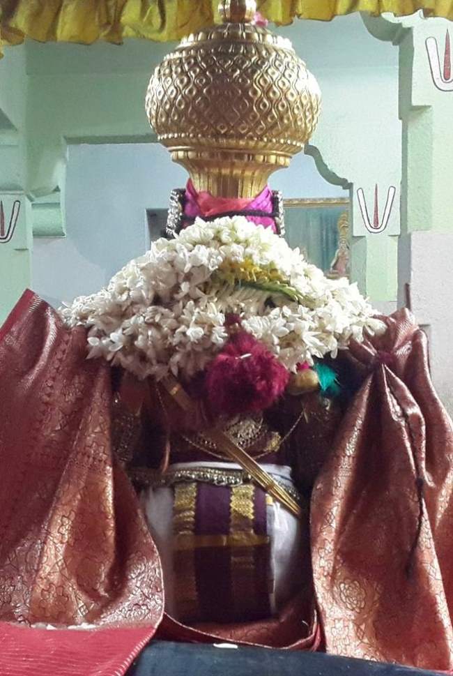thoopul-swami-desikan-evening-purappadu-day-2-2016002