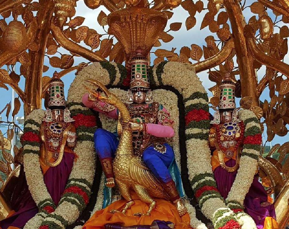 tirupathi-brahmotsavam-kalpavruksha-vahanam-2016