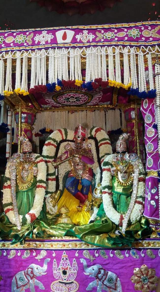 tirupathi-brahmotsavam-muthupopandal-vahanam-2016011