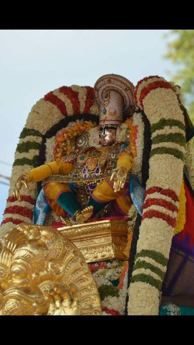 tirupathi-brahmotsavam-simha-vahanam-2016003