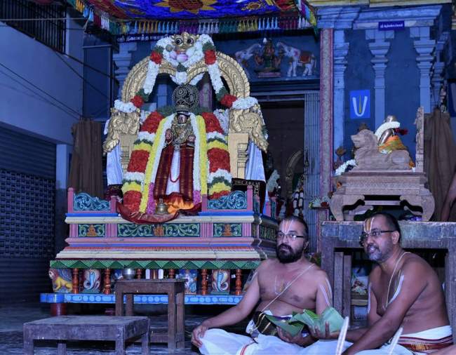 triplicane-ahobila-mutt-swami-desikan-thirunakshatra-utsavam-satrumurai-2016003
