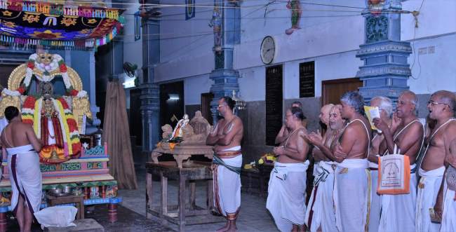 triplicane-ahobila-mutt-swami-desikan-thirunakshatra-utsavam-satrumurai-2016004