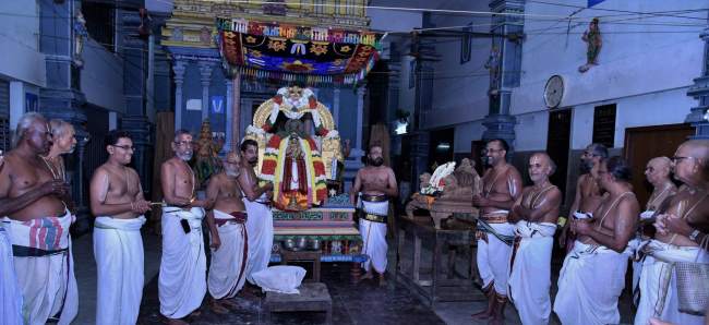triplicane-ahobila-mutt-swami-desikan-thirunakshatra-utsavam-satrumurai-2016022