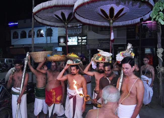 triplicane-ahobila-mutt-swami-desikan-thirunakshatra-utsavam-satrumurai-2016023