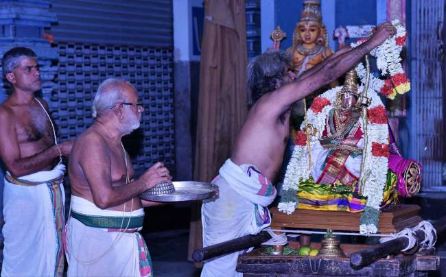 triplicane-ahobila-mutt-swami-desikan-thirunakshatra-utsavam-day-4-2016001