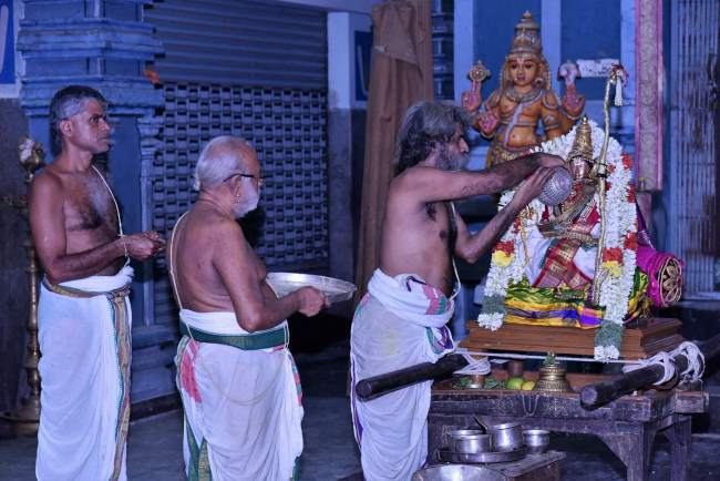 triplicane-ahobila-mutt-swami-desikan-thirunakshatra-utsavam-day-4-2016019
