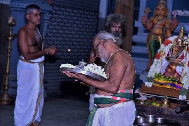 triplicane-ahobila-mutt-swami-desikan-thirunakshatra-utsavam-day-4-2016021