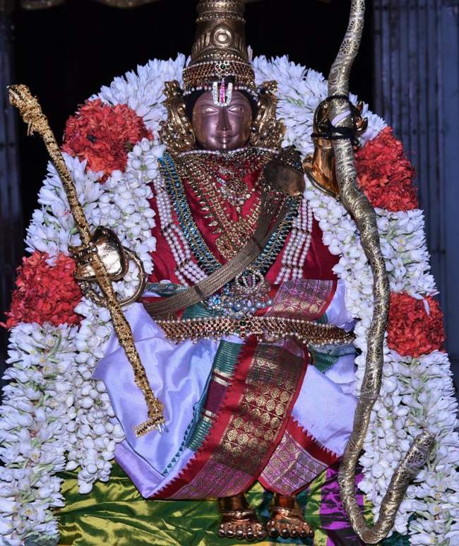 triplicane-ahobila-mutt-swami-desikan-thirunakshatra-utsavam-day-4-2016032