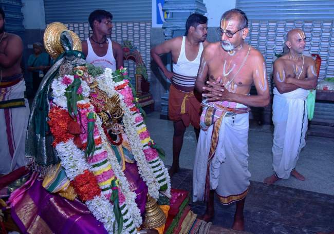triplicane-ahobila-mutt-swami-desikan-thirunakshatra-utsavam-day-10-morning-purappadu-2016021
