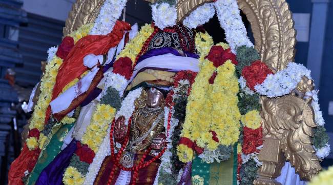 triplicane-ahobila-mutt-swami-desikan-thirunakshatra-utsavam-divyadesa-mariyathai-2016011