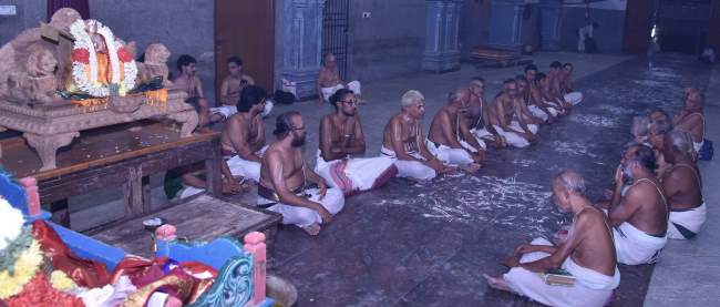 triplicane-ahobila-mutt-swami-desikan-thirunakshatra-utsavam-divyadesa-mariyathai-2016016