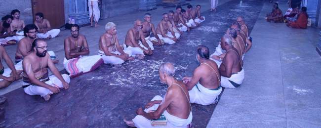 triplicane-ahobila-mutt-swami-desikan-thirunakshatra-utsavam-divyadesa-mariyathai-2016020
