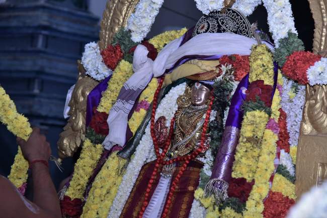 triplicane-ahobila-mutt-swami-desikan-thirunakshatra-utsavam-divyadesa-mariyathai-2016021