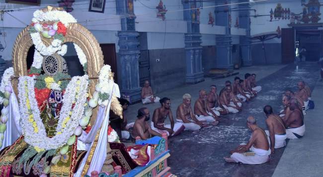 triplicane-ahobila-mutt-swami-desikan-thirunakshatra-utsavam-divyadesa-mariyathai-2016023