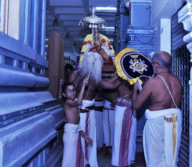 triplicane-ahobila-mutt-swami-desikan-thirunakshatra-utsavam-day-8-2016002