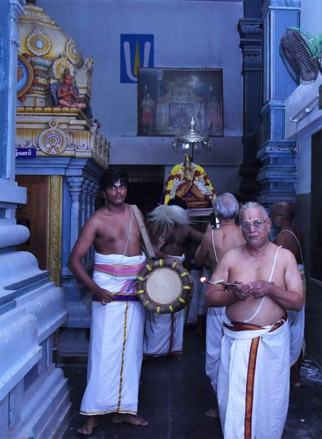 triplicane-ahobila-mutt-swami-desikan-thirunakshatra-utsavam-day-8-2016004