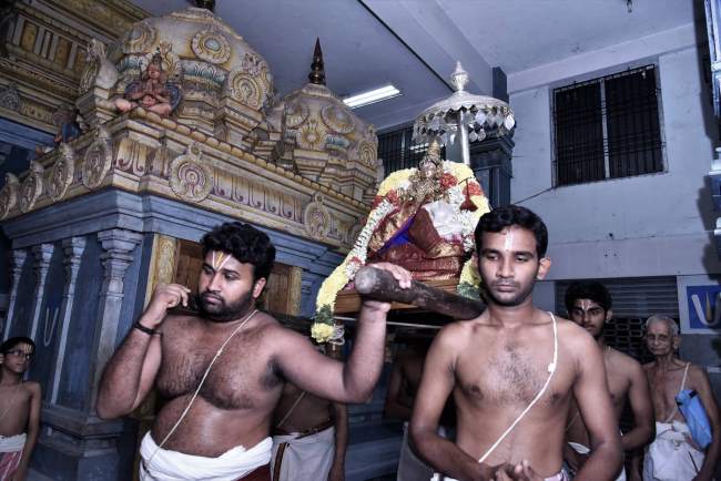 triplicane-ahobila-mutt-swami-desikan-thirunakshatra-utsavam-day-8-2016013