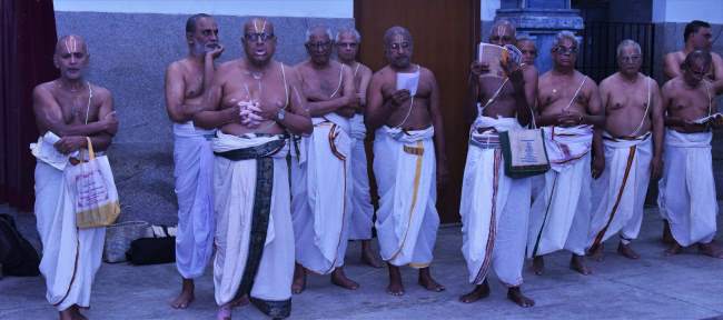 triplicane-ahobila-mutt-swami-desikan-thirunakshatra-utsavam-day-8-2016014