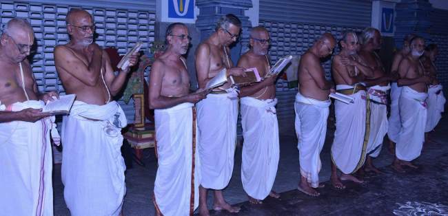 triplicane-swami-desikan-thirunakshatra-utsavam-day-3-2016003
