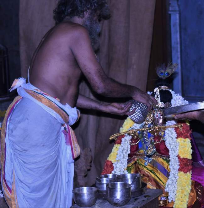 triplicane-swami-desikan-thirunakshatra-utsavam-day-3-2016015