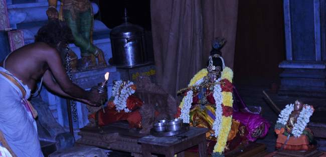 triplicane-swami-desikan-thirunakshatra-utsavam-day-3-2016019