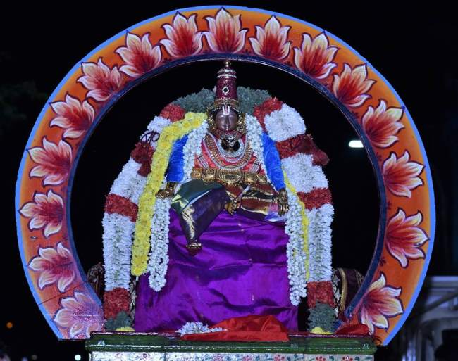 triplicane-ahobila-mutt-swami-desikan-thirunakshatra-utsavam-day-5011