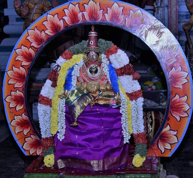triplicane-ahobila-mutt-swami-desikan-thirunakshatra-utsavam-day-5012