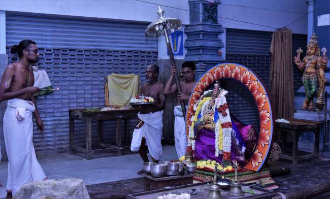 triplicane-ahobila-mutt-swami-desikan-thirunakshatra-utsavam-day-5019