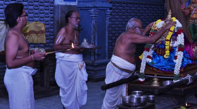 triplicane-ahobila-mutt-swami-desikan-thirunakshatra-utsavam-dy-7-2016009