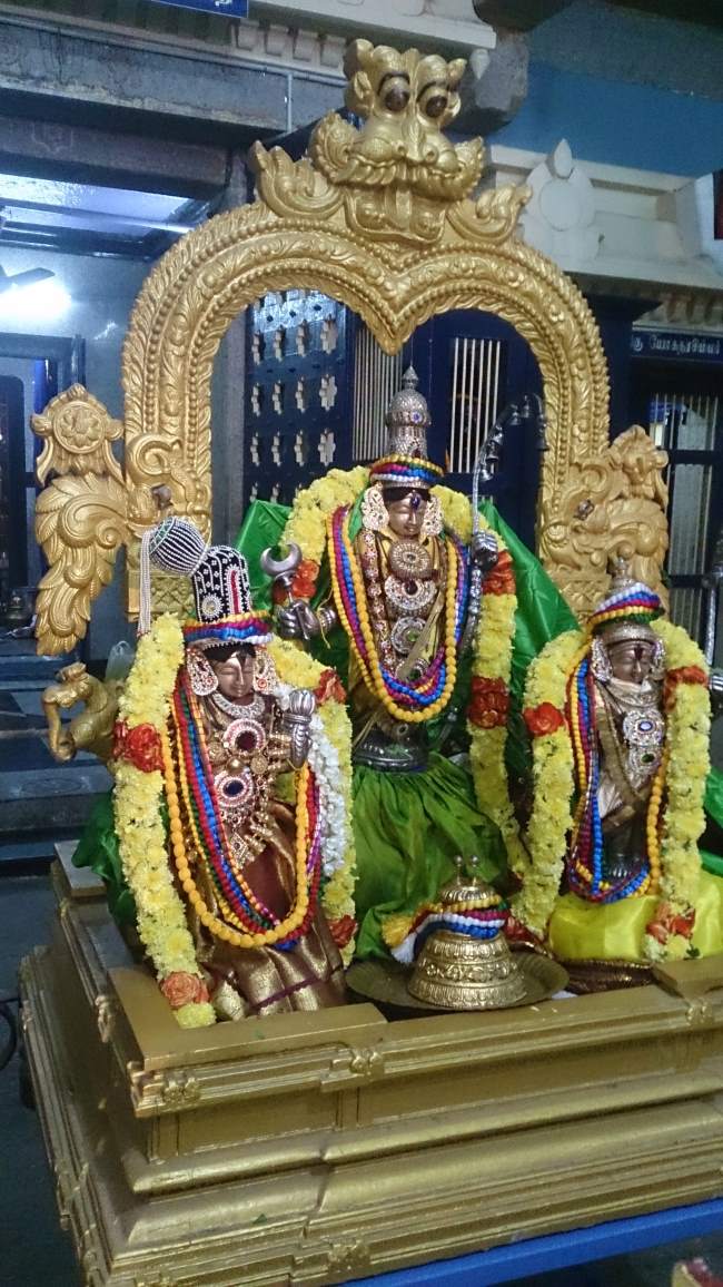 west-mambalam-sri-kothandaramaswamy-temple-pavithrotsavam-day-1-2016001