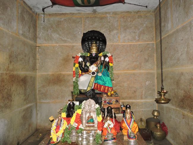 aathivan-sadagopan-swami-thirunatchathiram-1st-oct-16-9