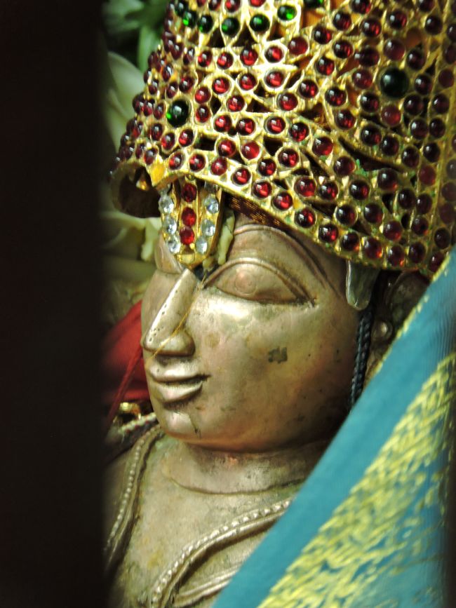 aathivan-sadagopan-swami-thirunatchathiram-1st-to-5th-oct-16-37