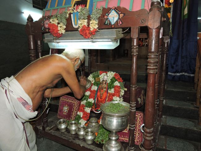 srimath-aathivan-sadagopa-swami-thirunatchathiram-9th-oct-16-138