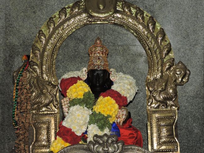 srirangam-swami-desikan-thirunatchathiram-as-on-11th-oct-16-80